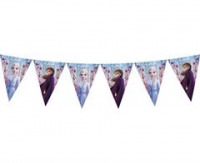 Vlajkový banner Frozen