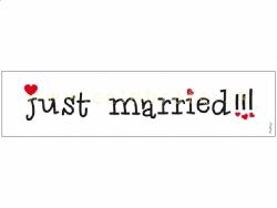Š PZ Just married 01