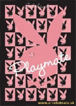 3D plagát Playboy - Playmate Pink premenlivý